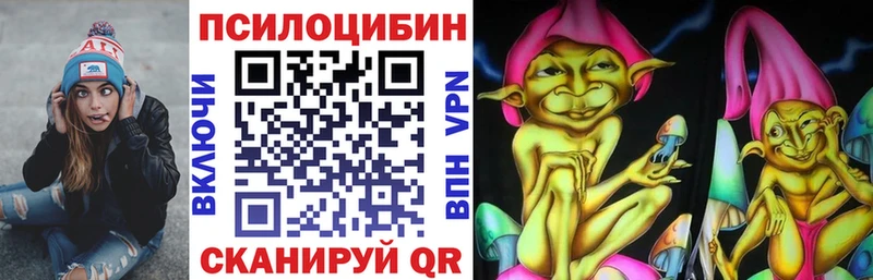 Купить  Миньяр  Галлюциногенные грибы GOLDEN TEACHER 